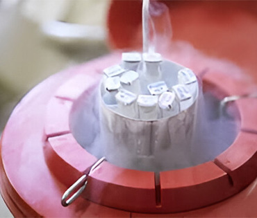 Semen Freezing Treatment in Urapakkam